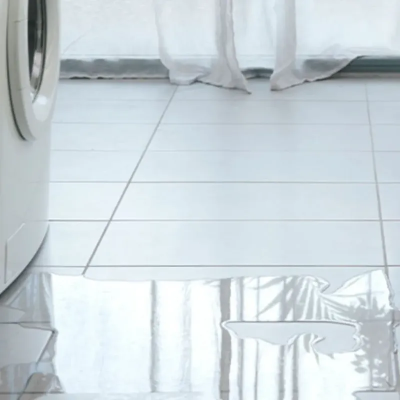 Appliance Leak Cleanup in Porter County, IN