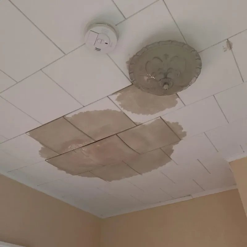 Ceiling Water Damage Repair in Porter County, IN