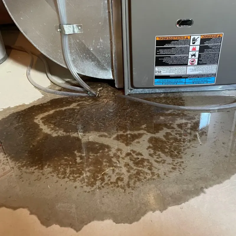 Pipe Burst and Leak Restoration in Porter County, IN