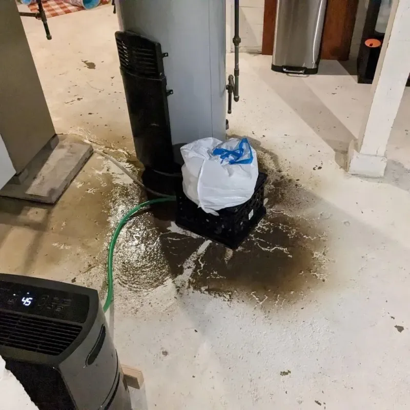 Sewage Backup Cleanup Service in Porter County, IN